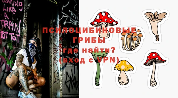 гашик Новодвинск