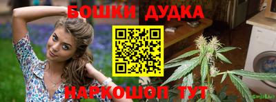 индика Гусиноозёрск