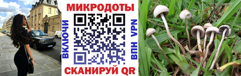 Псилоцибиновые грибы мицелий где продают Шадринск