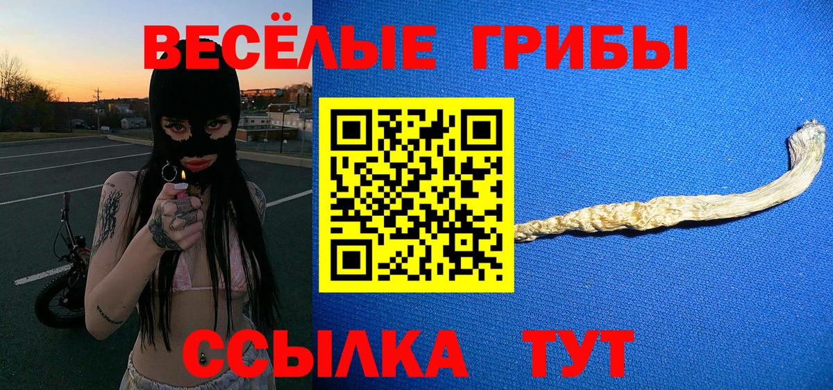 Галлюциногенные грибы Psilocybine cubensis Шадринск