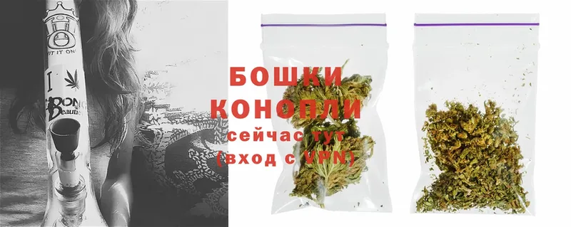 Марихуана SATIVA & INDICA  маркетплейс формула  Шадринск  МЕГА ссылка 